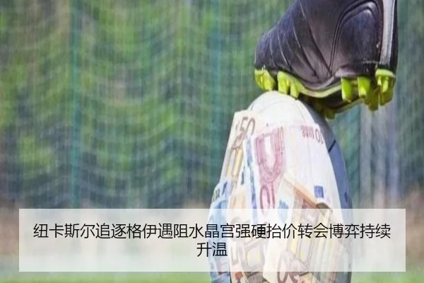 纽卡斯尔追逐格伊遇阻水晶宫强硬抬价转会博弈持续升温